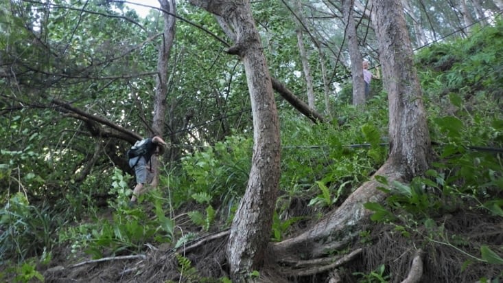 on s'accroche à de gros câbles pour ne pas dégringoler en bas