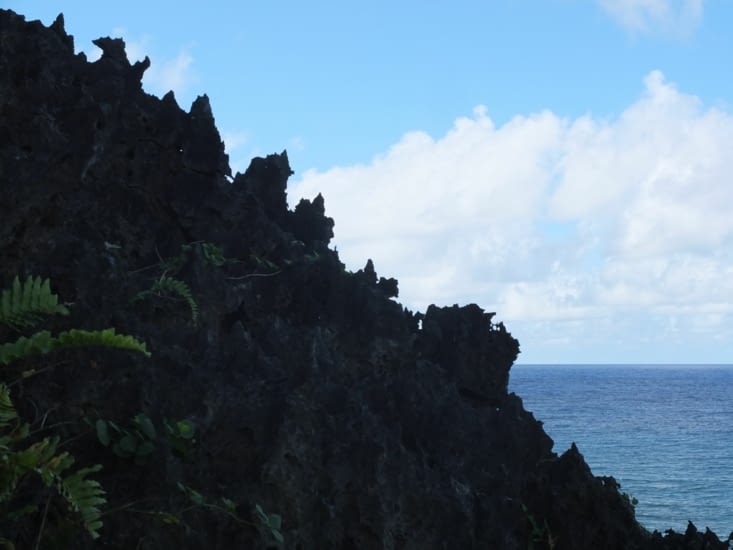 les roches sont découpées comme de la dentelle...et tranchent comme des rasoirs!