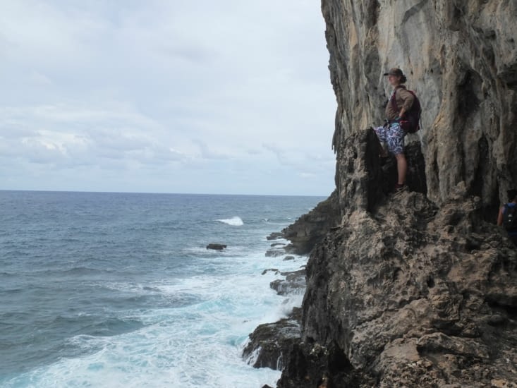 elle est où la baleine?