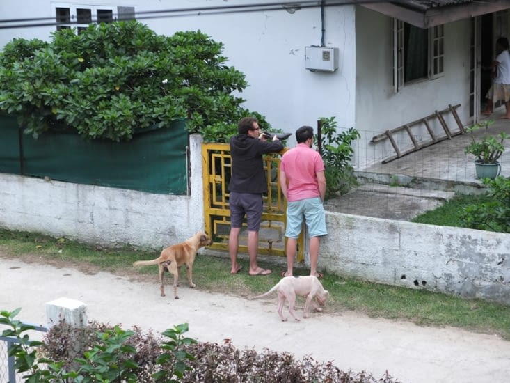"Comment on vide le poisson, Mme la voisine?"