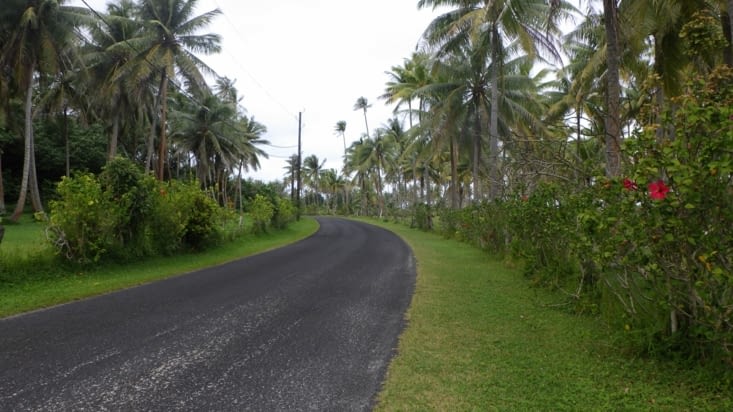 interlude cocotiers + temps pas top