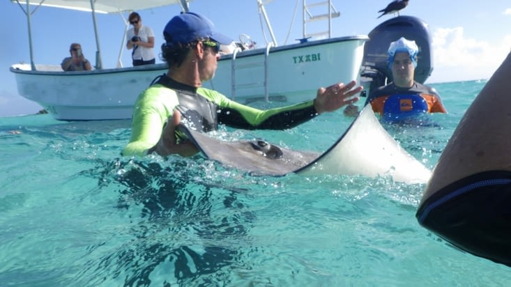 Présentation des raies