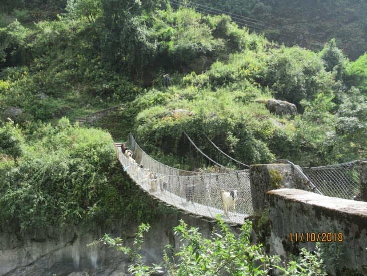 Chacun son tour sur les ponts suspendus