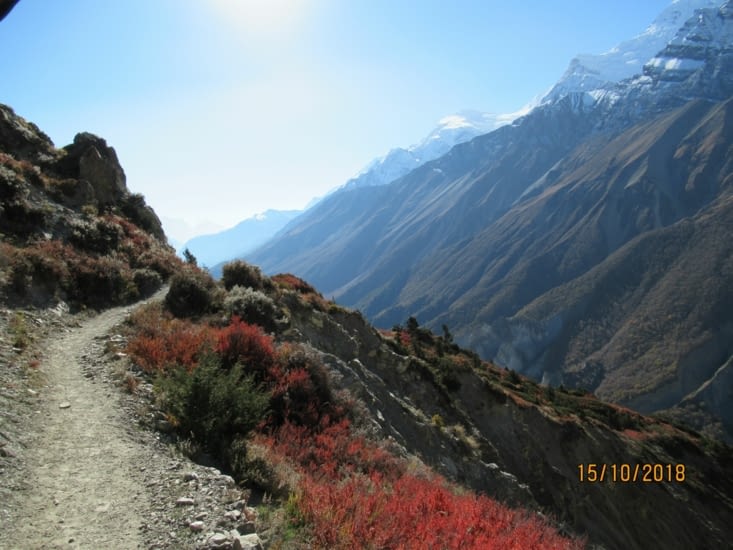 La végétation change à nouveau