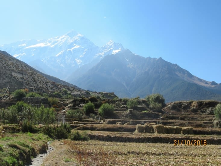 On traçe notre chemin entre les champs...