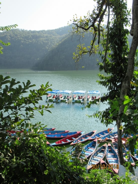 Le lac de Pokhara, la vue des barques nous motive ...