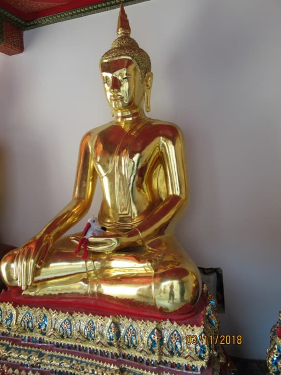 Notre mascotte a rapidement adopté le bouddhisme