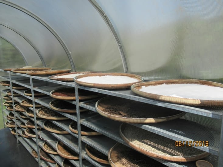 Séchage du poivre et du sel