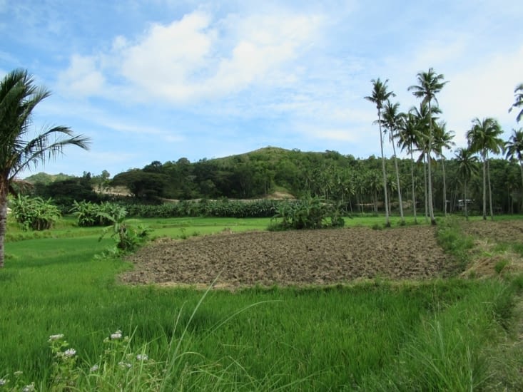 balade dans les rizières à la recherche d'une cascade