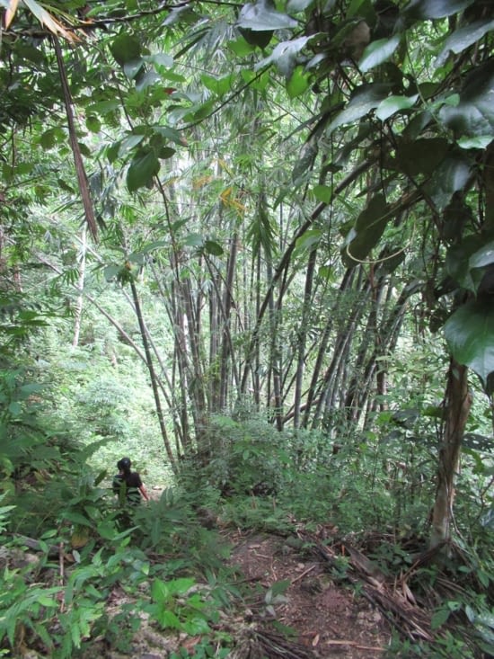 on suit le guide, des gamins du coin, le chemin est assez long et technique en sandales