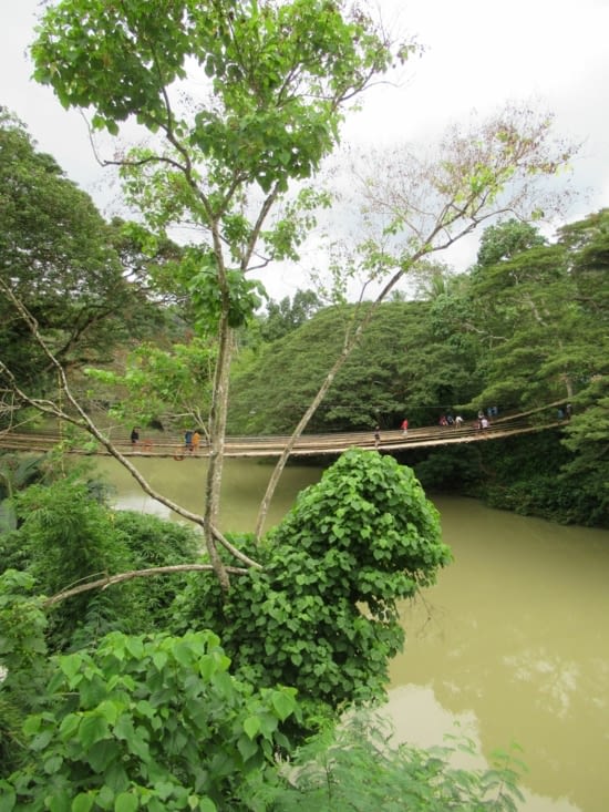 un pont en bambou,