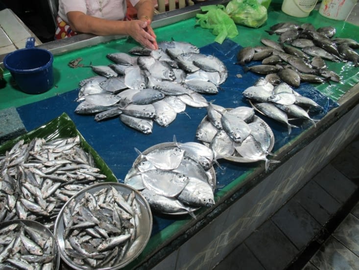 aahh , ils sont mignons ceux-là !!