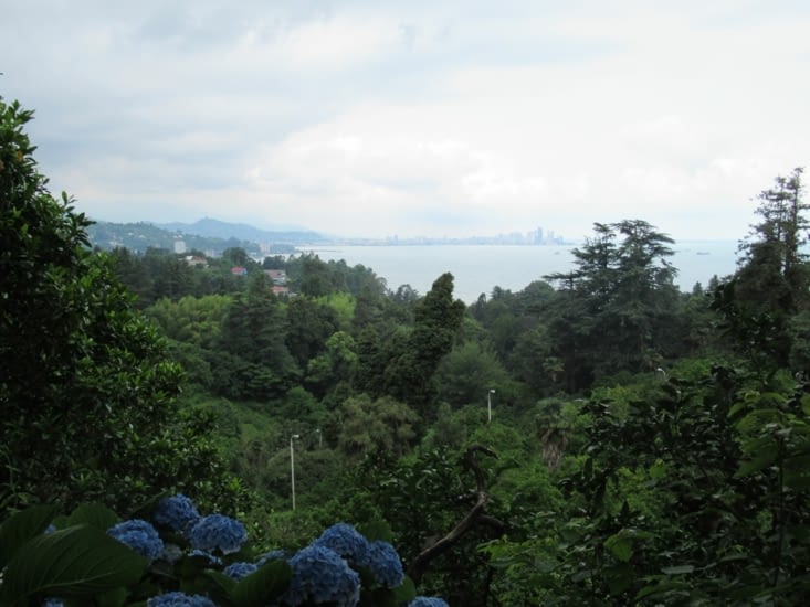 Jardin botanique - vue panoramique