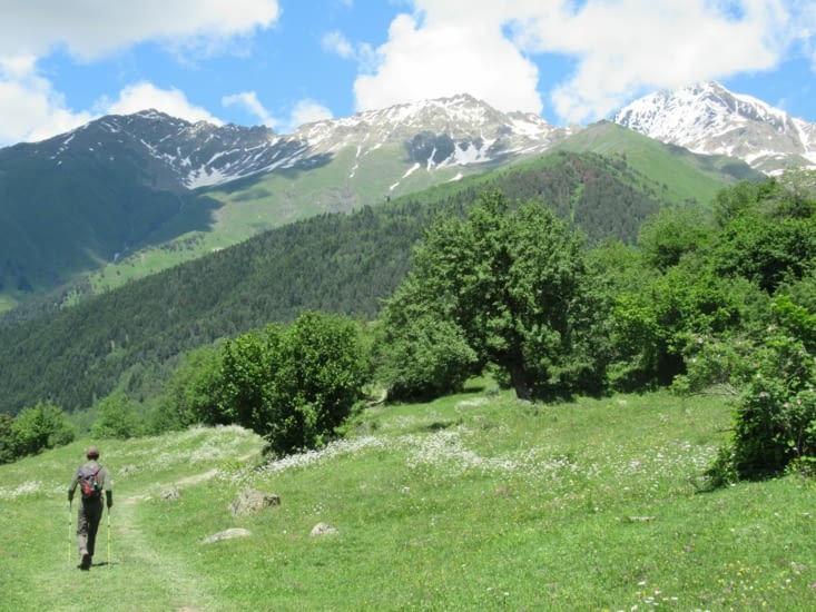 Chemin entre les noisetiers