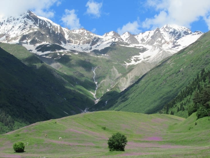 De superbes paturages .... dommage qu'ils fassent pas trop de fromage à pâte dure!