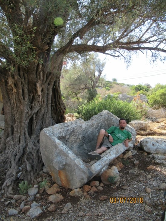 Simena - visite au plus proche des ruines