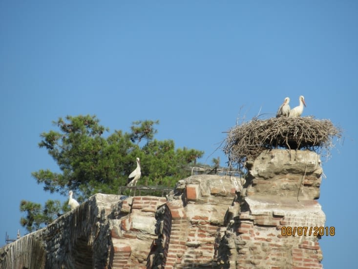 Non, nous ne sommes pas en Alsace, mais bien à Selçuk en Turquie