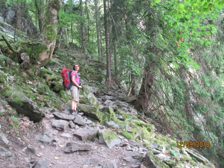 ...ce coin des Vosges ressemblerait presque aux régions alpines, avec ses pierriers
