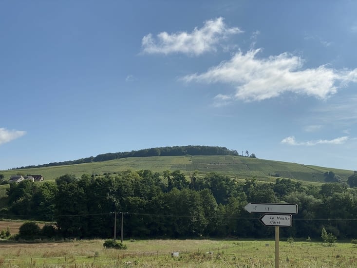 Les vignobles de Champagne