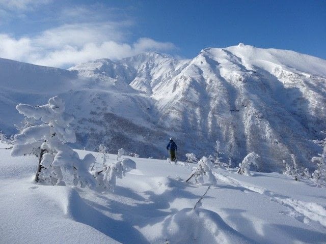 Première photo de la recherche google