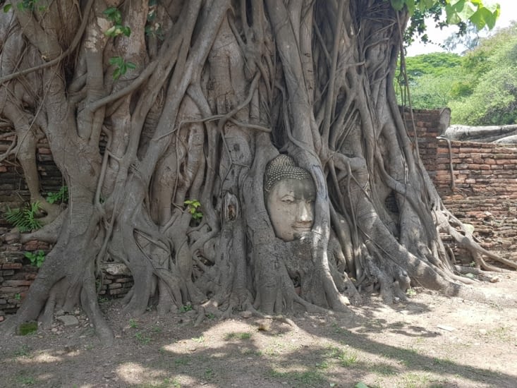 Buddha Ayutthaya