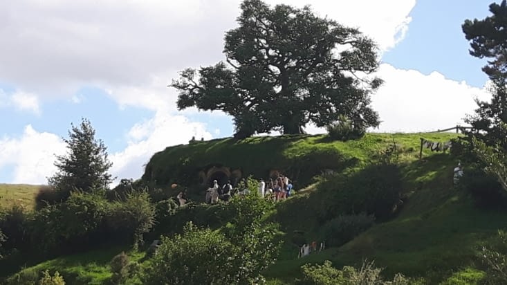 L'arbre que l'on voit tout en haut est un faux. Il est au dessus de la maison de Bilbon.