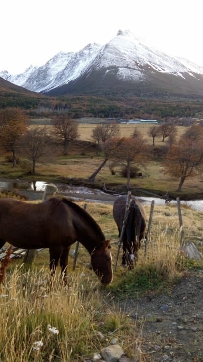 Sur la route pour le parc