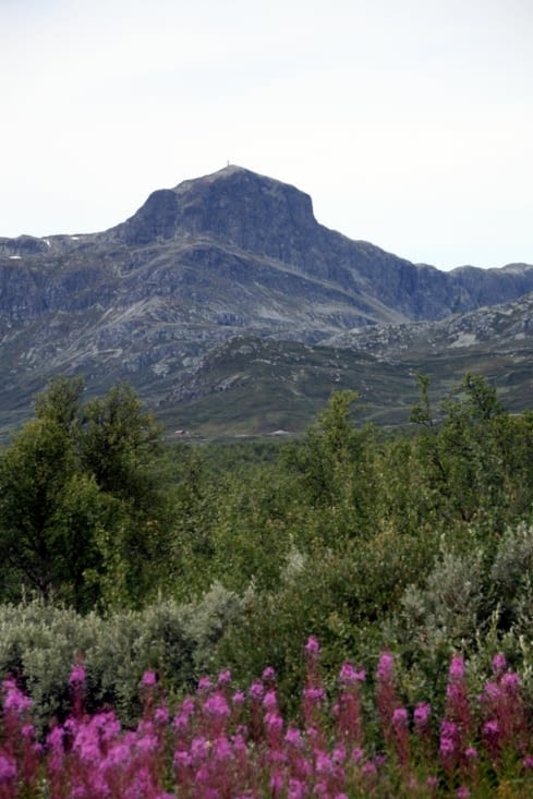 Le Galdhøpiggen, plus haut sommet de Norvège avec 2469m.