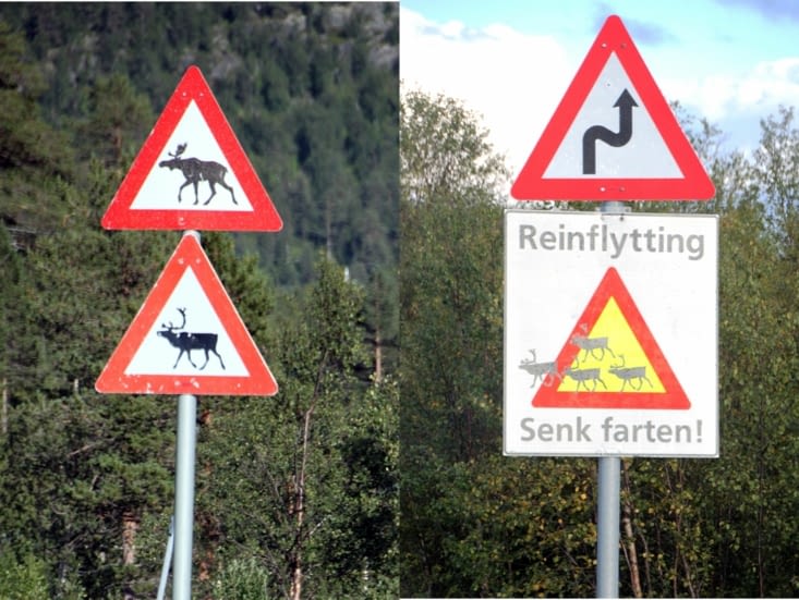 Hola, ça se complique !