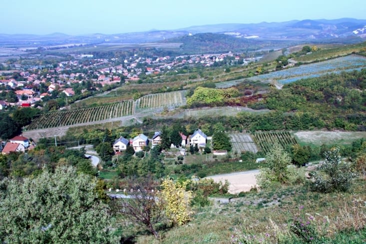 Notre chemin nous amène à traverser le fameux vignoble de Tokaj.