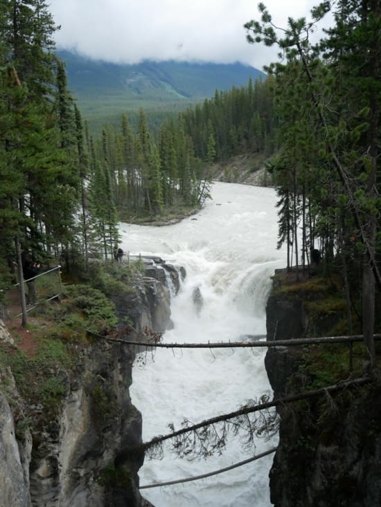 Sunwapta falls