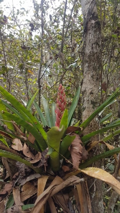 Sur le chemin du retour !