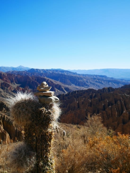 Ça fait déjà rêver !