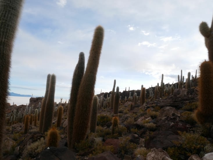 Il y avait du monde de présent !