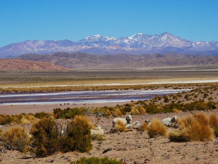 Quelques volcans à l'horizon