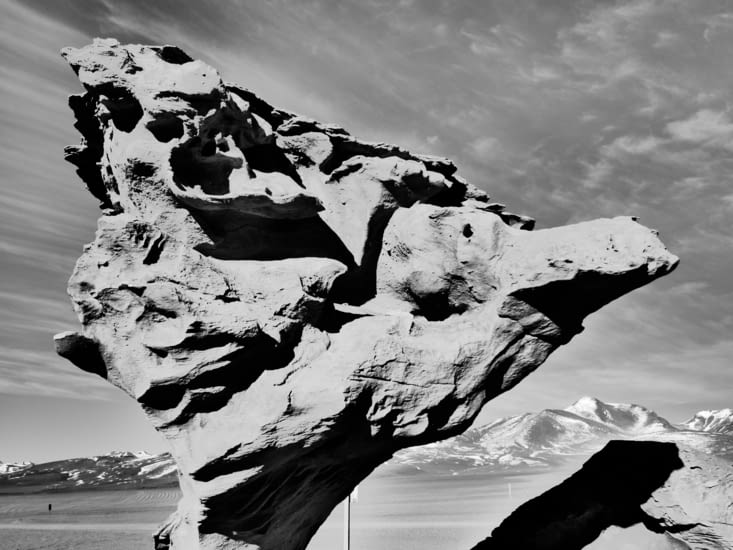 Une petite tête qui regarde vers l'horizon