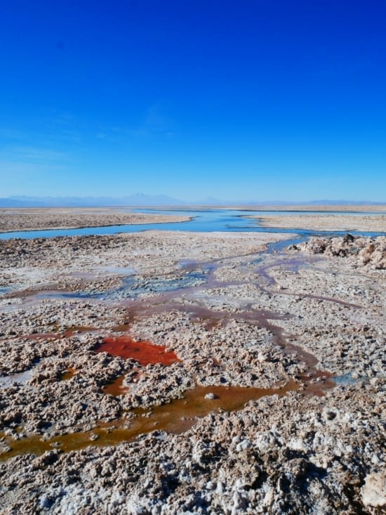 Et les couleurs de la lagune