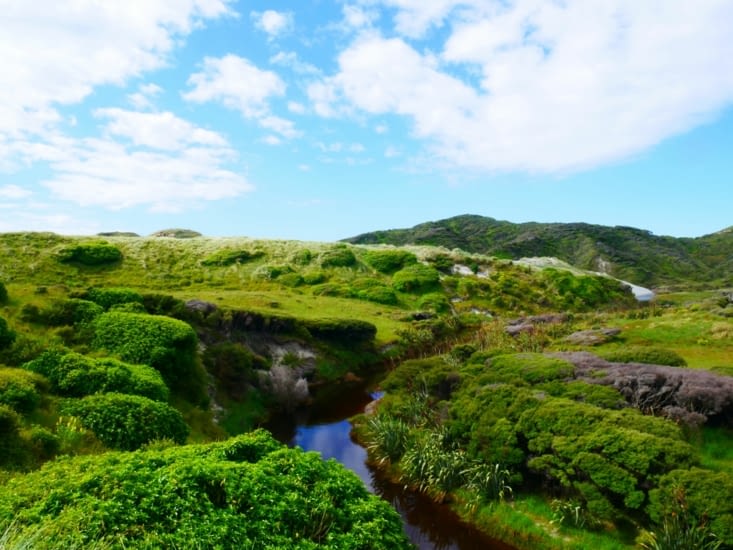 Toujours de la verdure