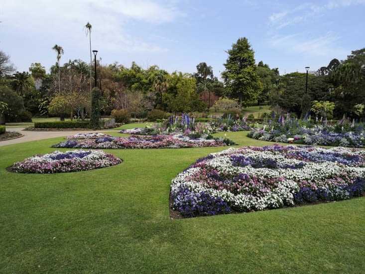 En ce jour du printemps nous avons commencé par le jardin botanic.