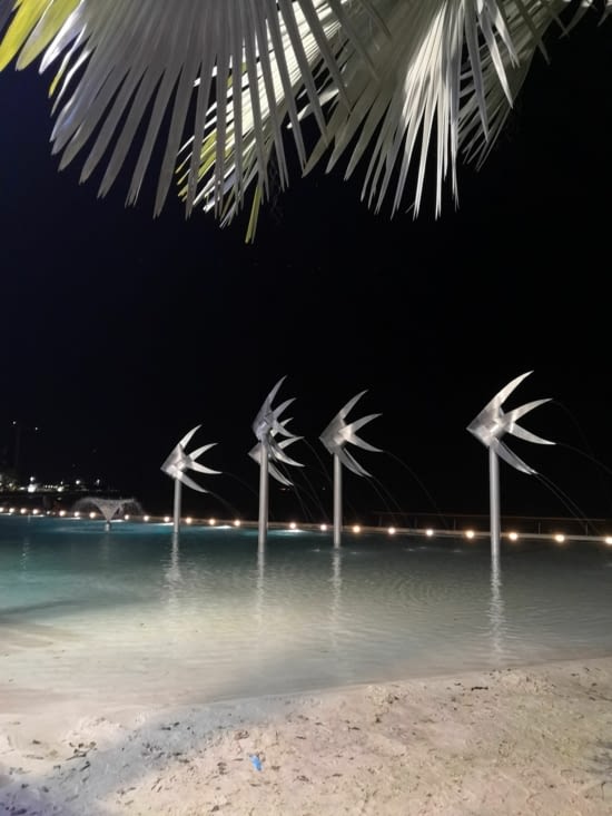 Cairns lagoon by night