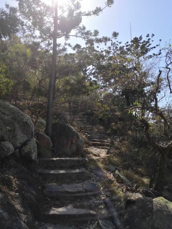 Voilà le chemin pour arriver au lookout
