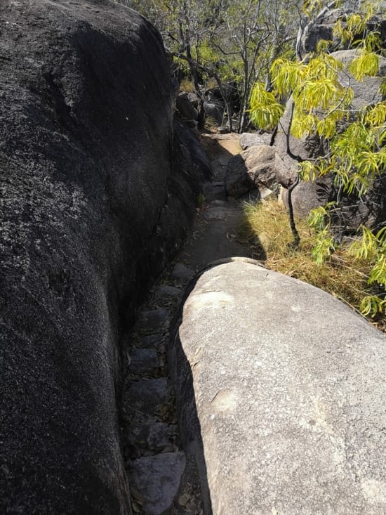 Chemin pour accéder au Rocky Lookout