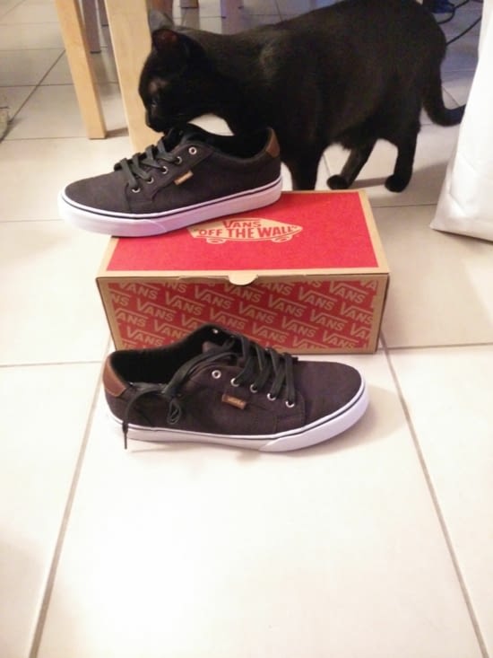 Nouvelles baskets (bis)