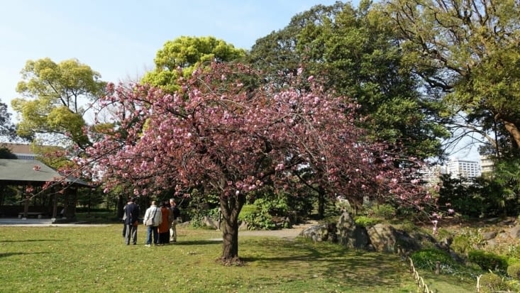 Jardin de Kiyosumi