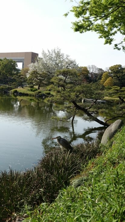 Jardin de Kiyosumi