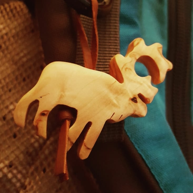 Mon nouveau compagnon de voyage : Poro