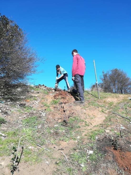 Faire un petit trou pour laisser la place à la petite plante