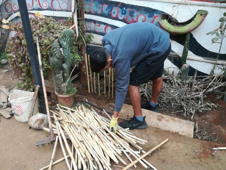 Une nouvelle barrière en bambou pour délimiter les plantations