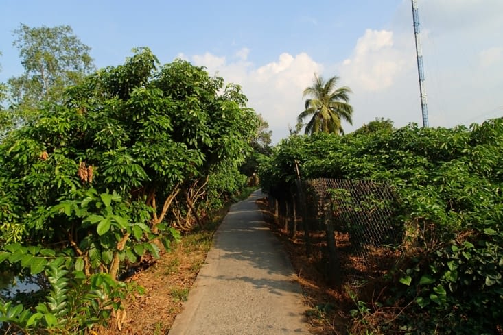 On traverse aussi de nombreuses plantations d'arbres fruitiers dont certains inconnus.