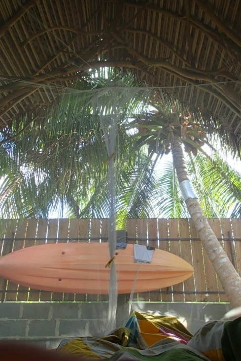 Notre petit bungalow avec vue sur un cocotier. Le top quand t'ouvre les yeux le matin !
